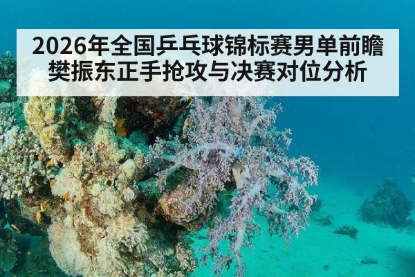 2026年全国乒乓球锦标赛男单前瞻 樊振东正手抢攻与决赛对位分析(j9 game)